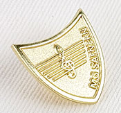 Sandblæst pin