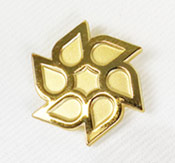Sandblæst pin